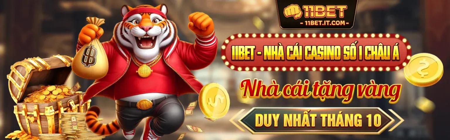 Hình ảnh chính bet11 chính thức - Nền tảng cá cược trực tuyến hàng đầu